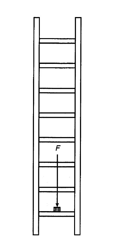 flexion_peldanos_escalones